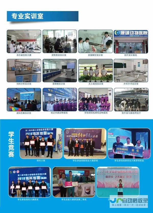 廊坊专业网站建设：定制专属您的线上名片，引爆网络营销